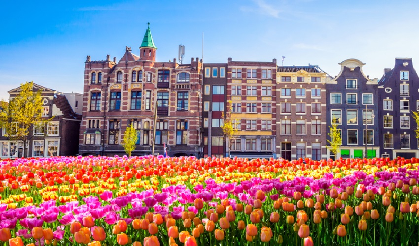VIAJE CIRCULO IMPERIAL (AMSTERDAM - VIENA)  DESDE MÉRIDA